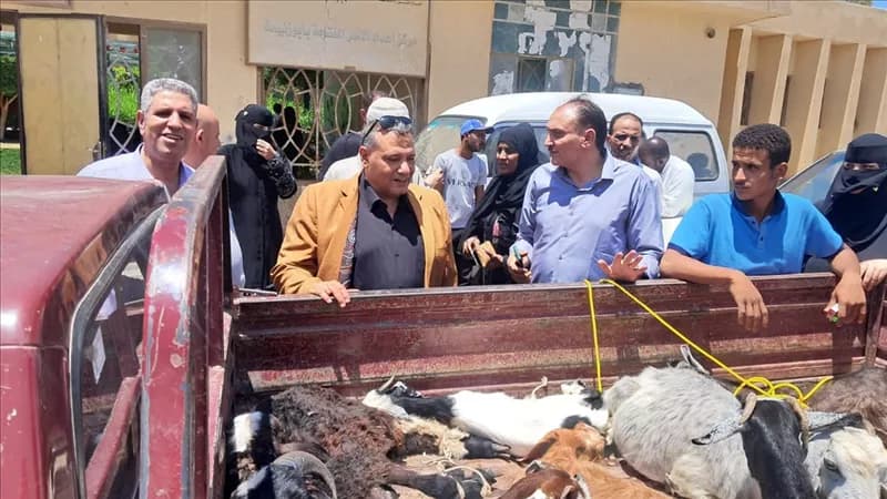 South Sinai advances 140 projects under Poverty Alleviation Initiative