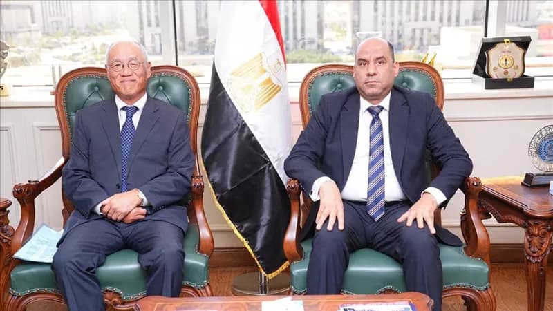 Labor Minister Meets Japanese Firms in Egypt