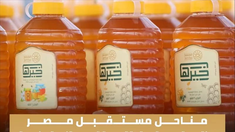 Future Egypt's Apiaries aims to boost honey and optimize resources