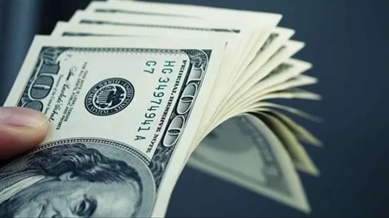 الدولار في مصر يوم 23 أكتوبر