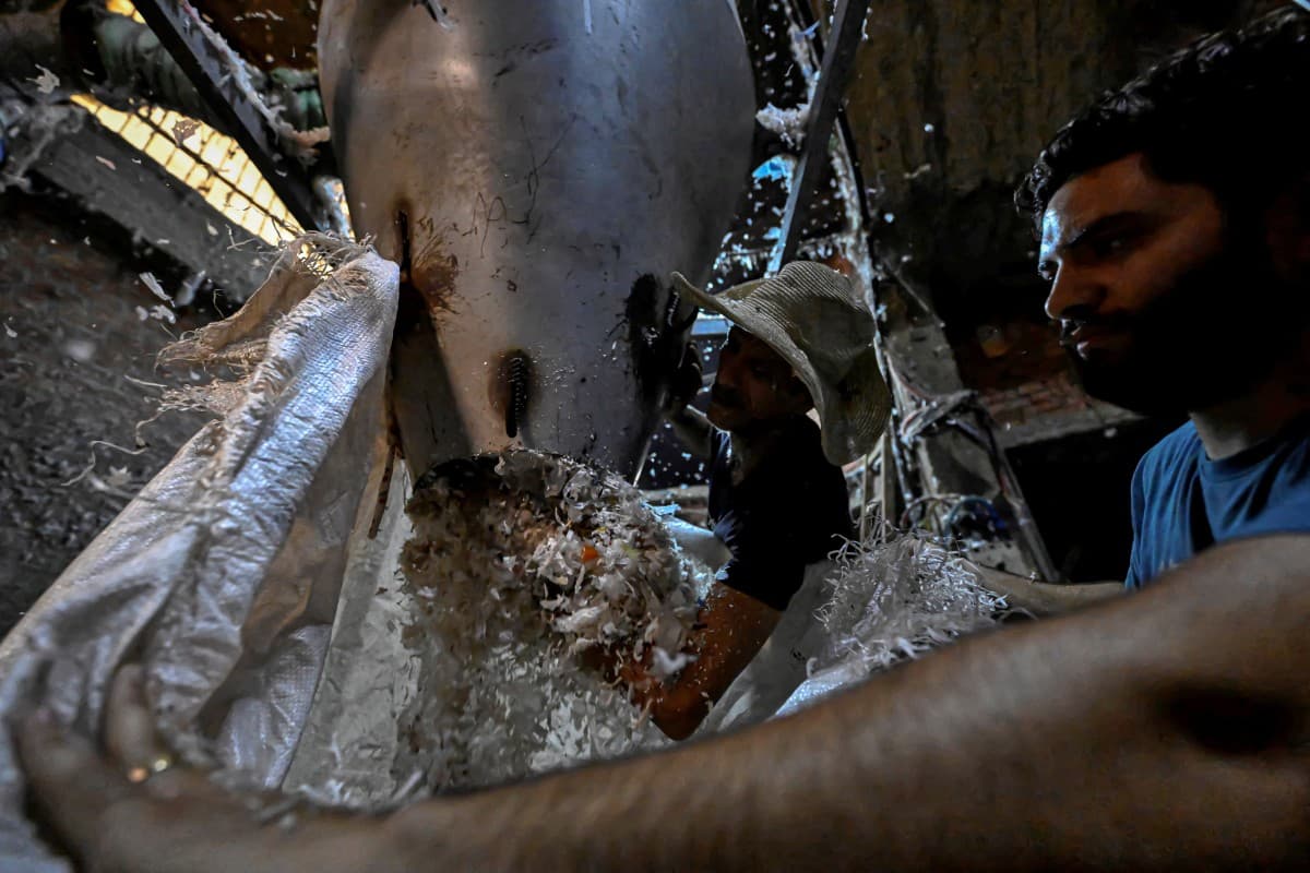 Hormuz Closure Boosts Cairo Recycling