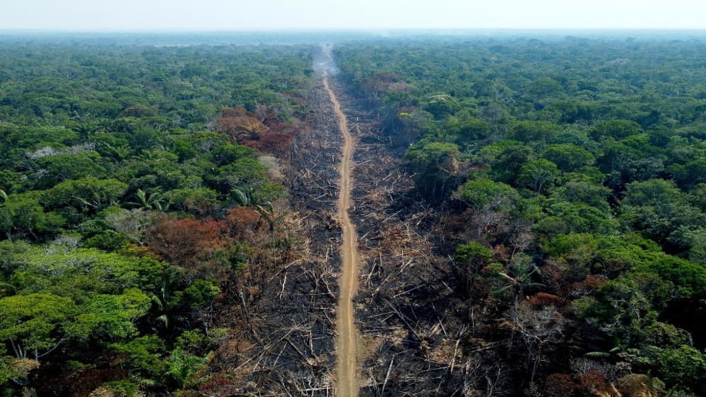Amazon deforestation hits record low