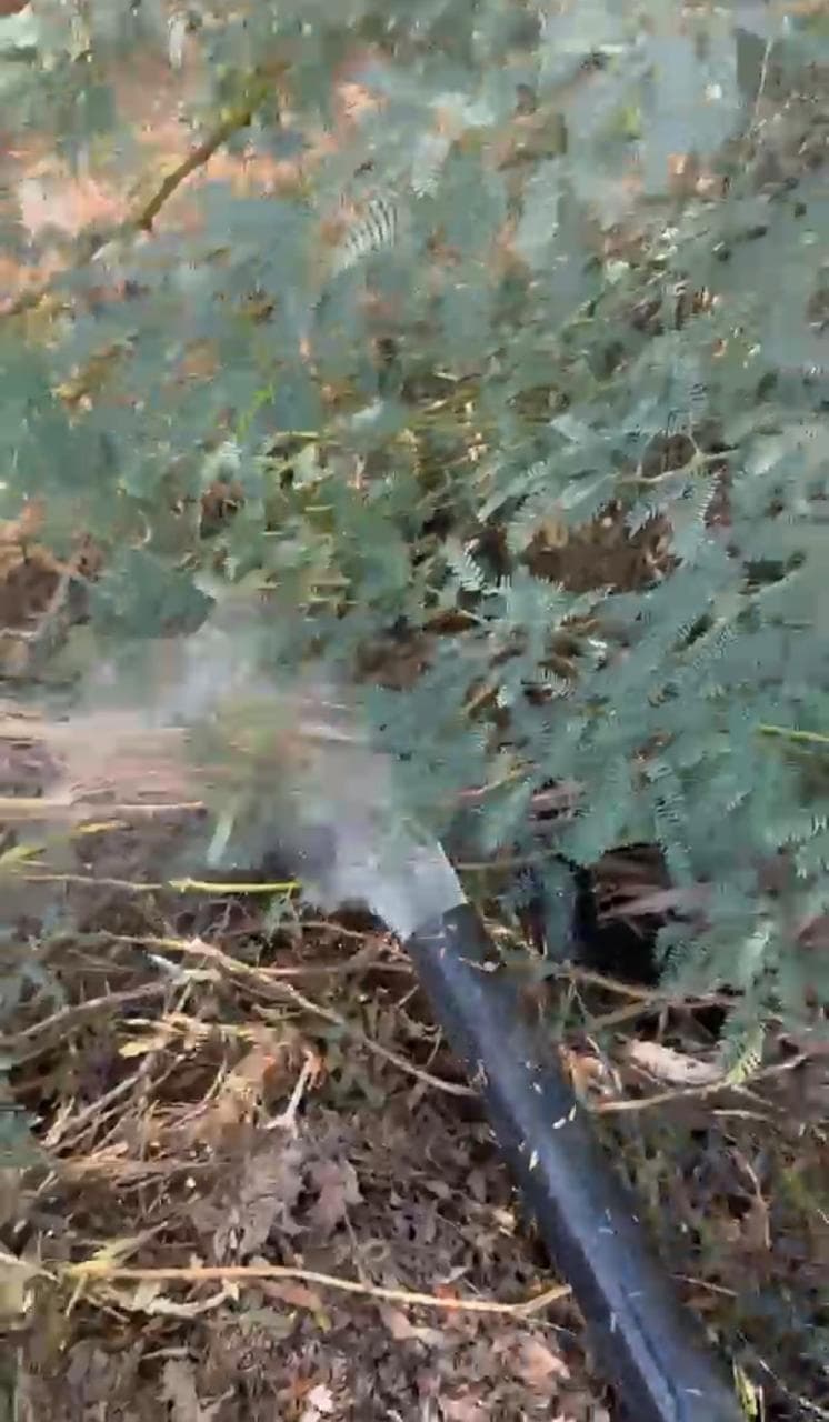 Water violation monitor in Southern Shuna