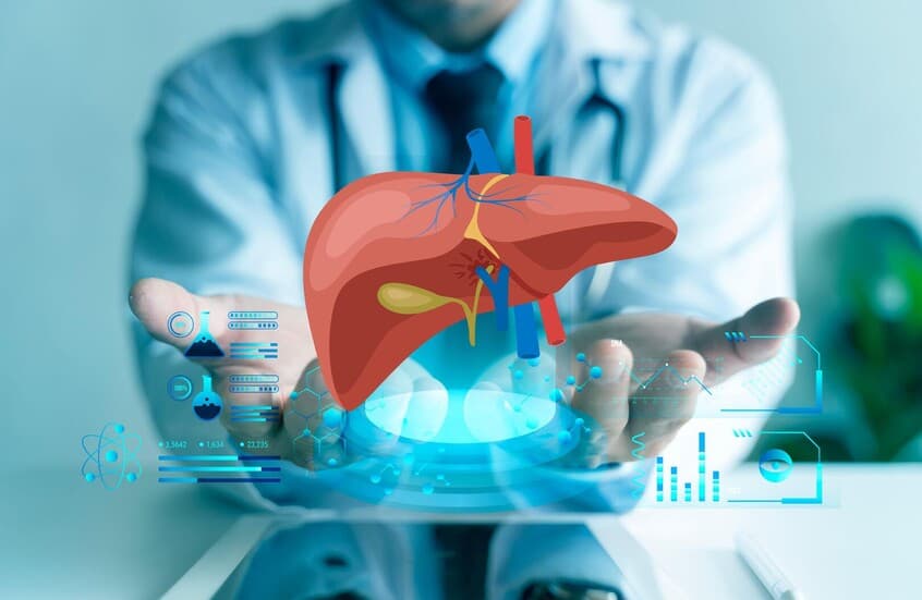 اكتشاف آلية تربط دهون البطن بسرطان الرئة