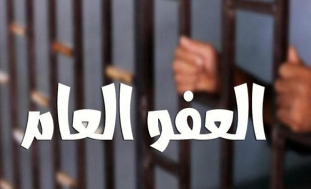 Parliamentary memo urges government amnesty