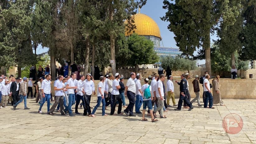 Hikma groups plan major Al-Aqsa assault