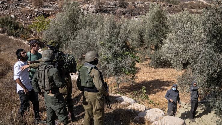 المستوطنون يشنون هجوما غرب نابلس بحماية الجيش