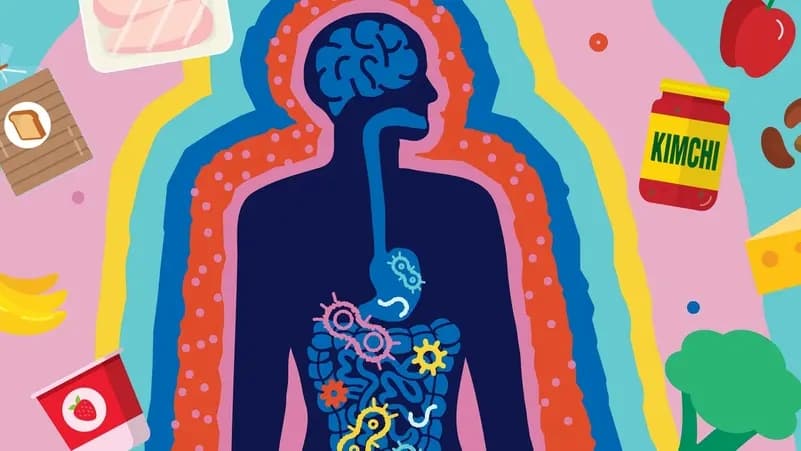 Gut bacteria found linked to intelligence