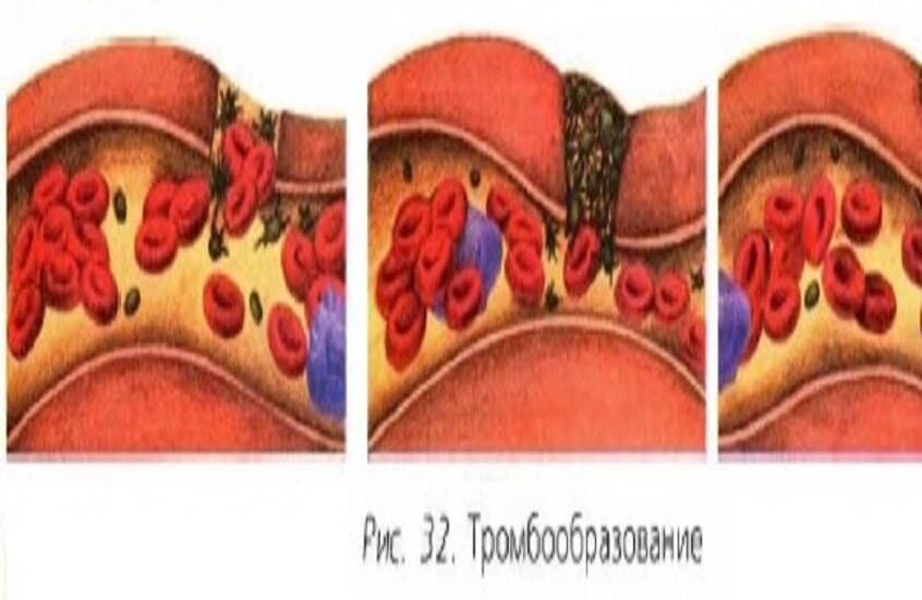 New insights into blood clot development