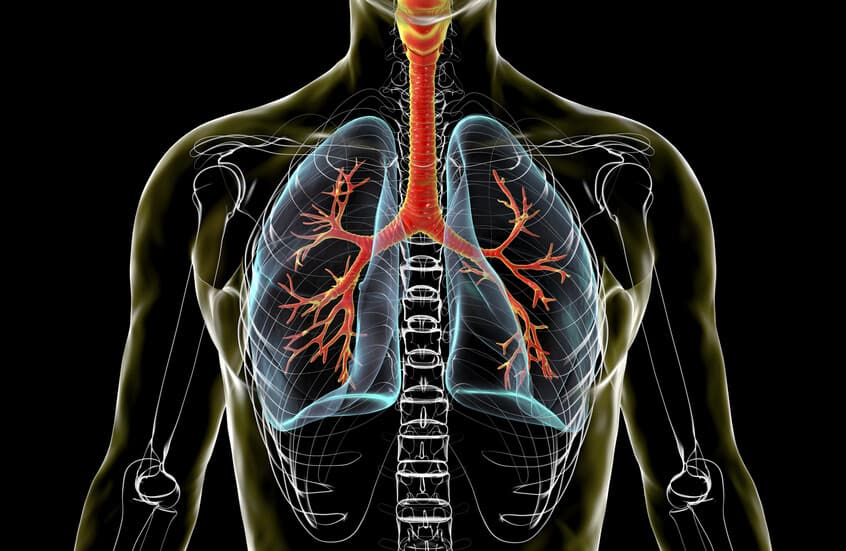 Diet quality linked to lung health