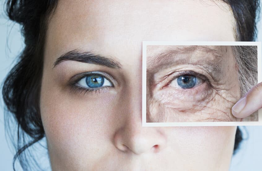 Study highlights possible aging interventions
