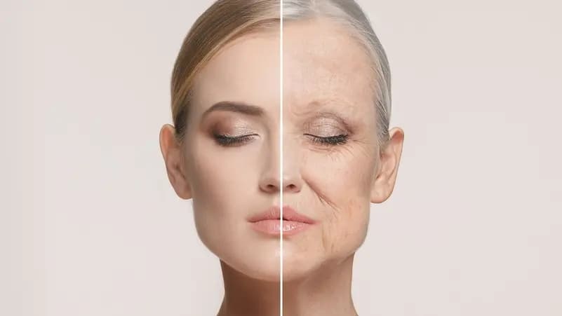 Study reveals aging slowdown factor