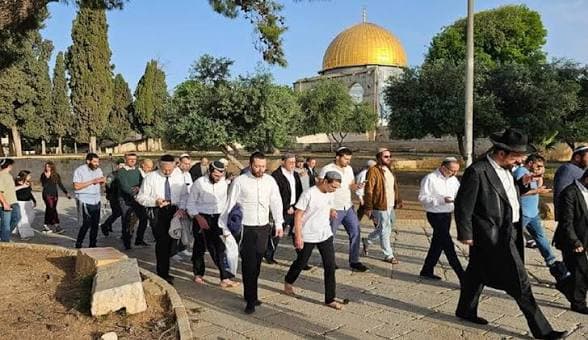 القدس تحذر من دعوات الاحتلال لاقتحامات الأقصى السبت