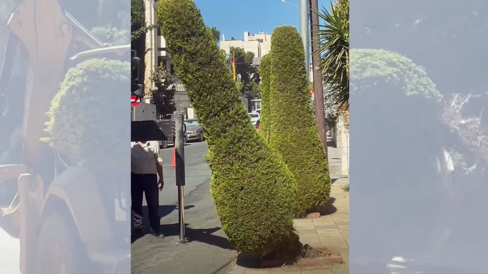 Amman Municipality Advances Sidewalk Upgrades