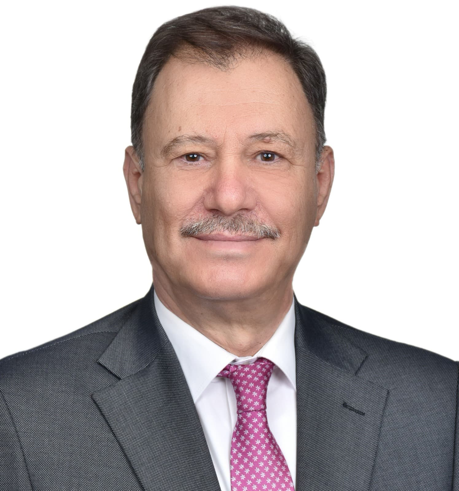 الدولة وميزان السوق والسيادة