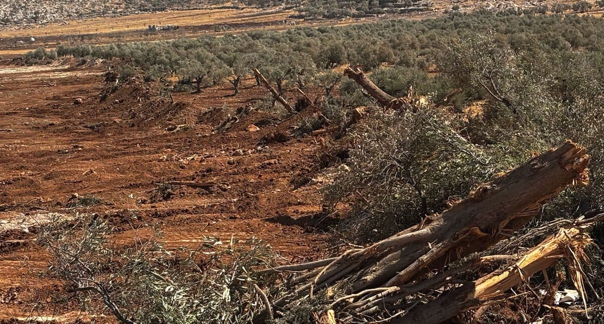 Israeli Orders Alter Palestinian Land