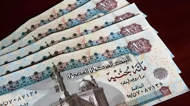التأمينات توضح موعد صرف معاش نوفمبر 2026 للمعلمين