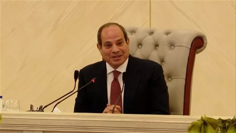 President Sisi emphasizes private sector energy cooperation
