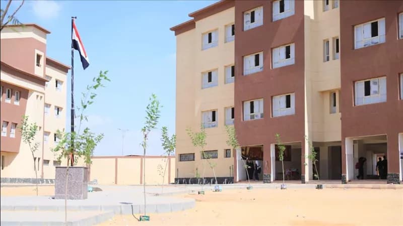Husband and teachers detained after altercation at Ismailia school