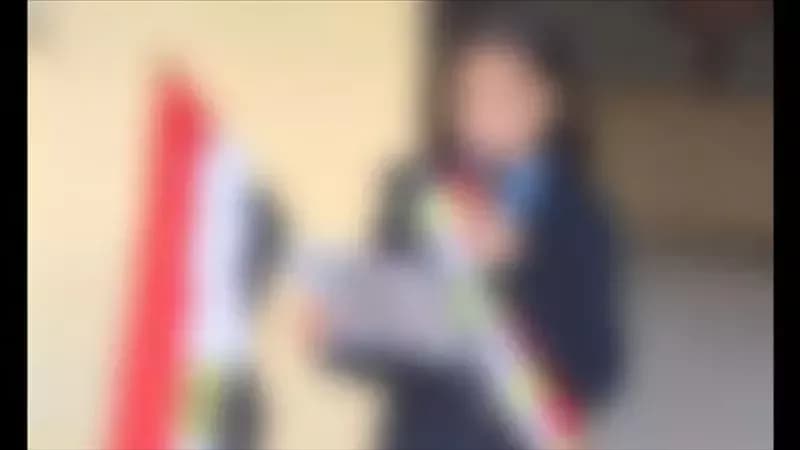 Student dies after fall at Ismailia school