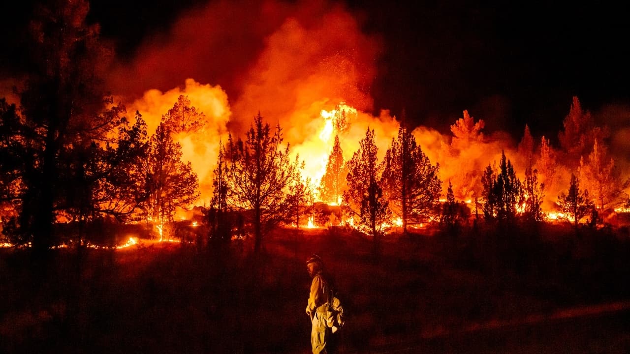Global burning declines despite regional wildfires