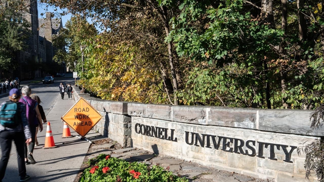 Orazio Petito removed from Cornell lawsuit