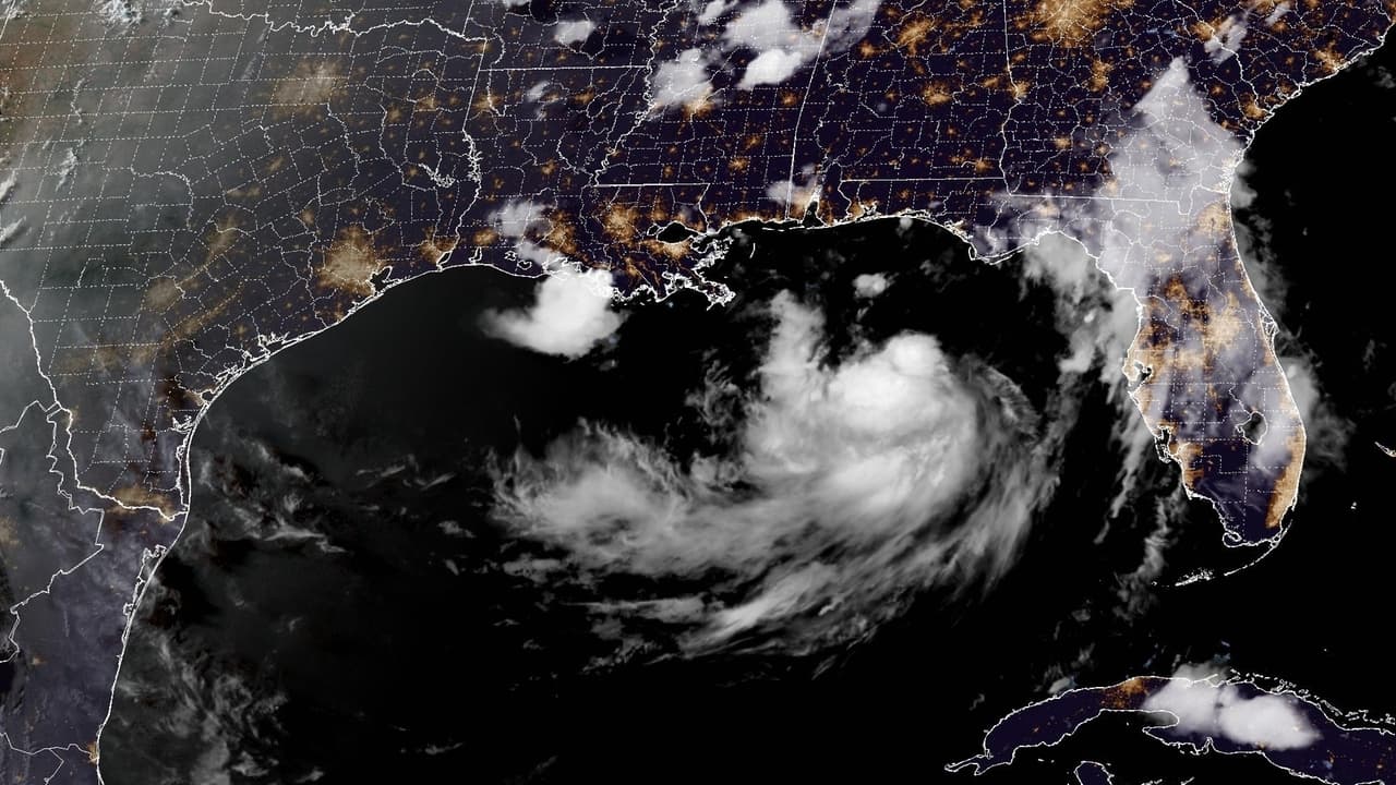 Tropical Storm Bertha heads to Gulf Coast