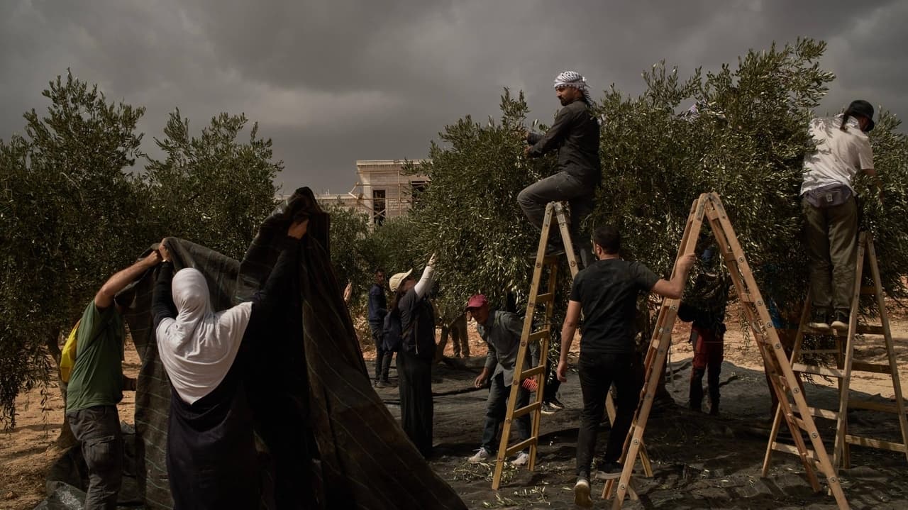 Israeli settlers damage West Bank property
