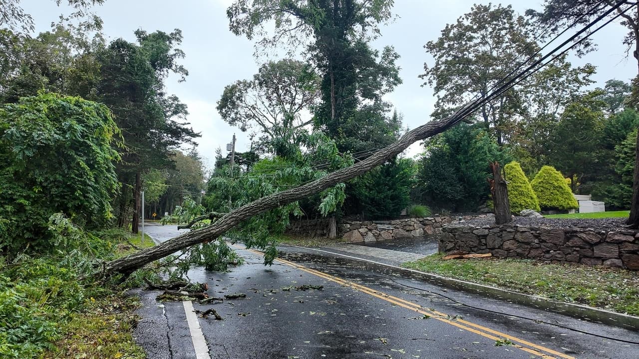 Suffolk urges report of storm damage