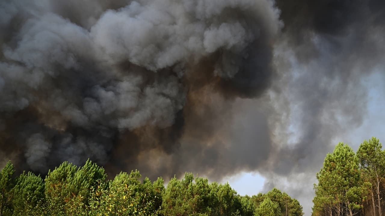 Cooler weather and rain likely in fire-hit French area