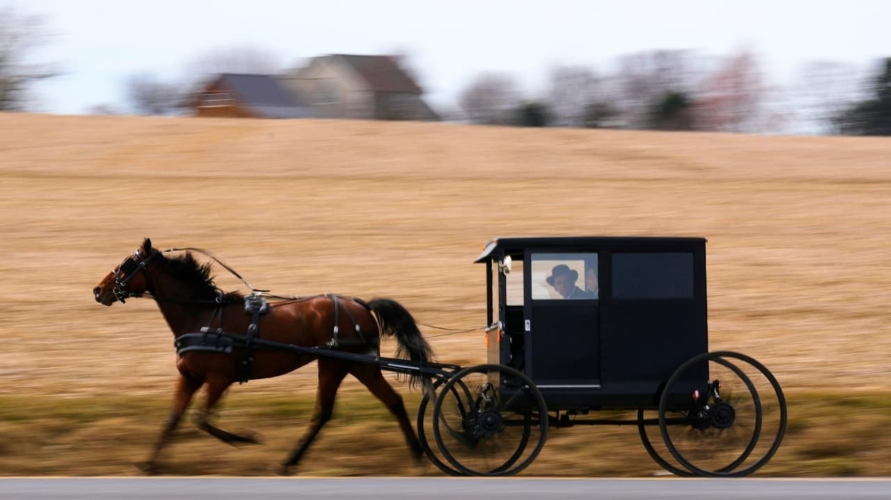Orthodox Scholar Finds Amish Home
