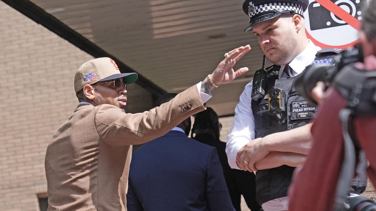 Chris Brown admits nightclub brawl
