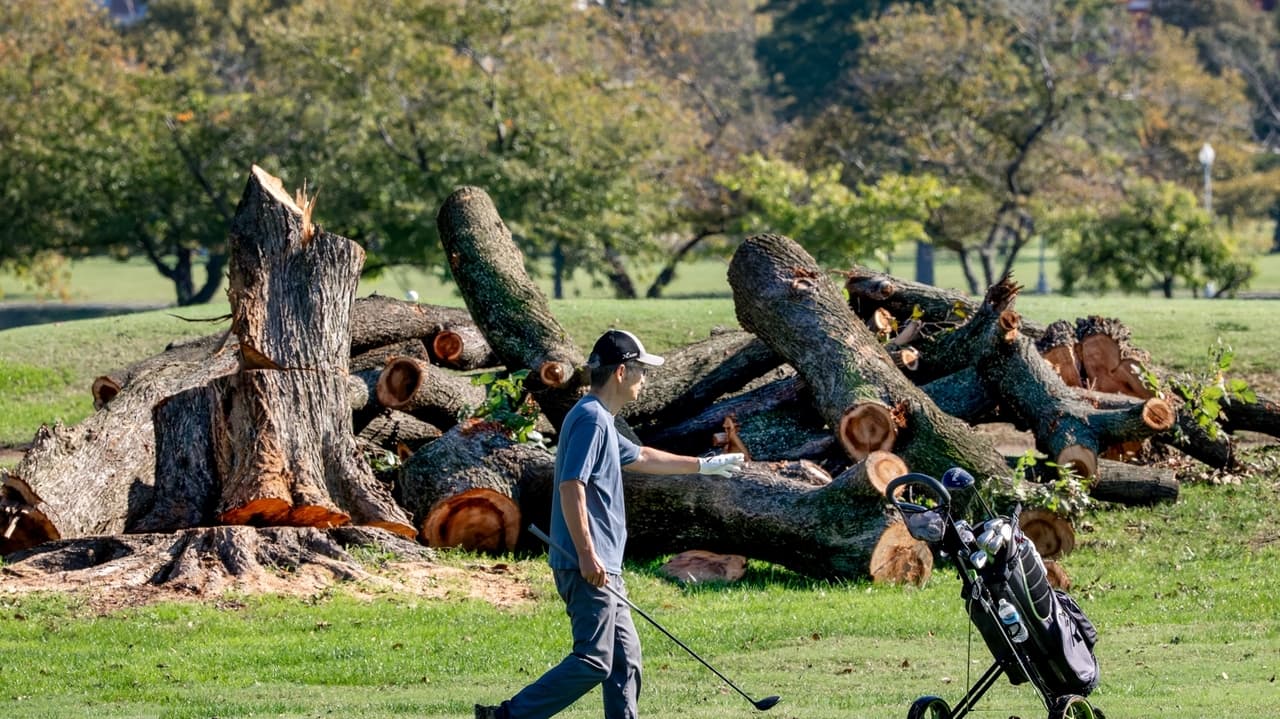 Trump plans 15-month renovation of historic DC golf course