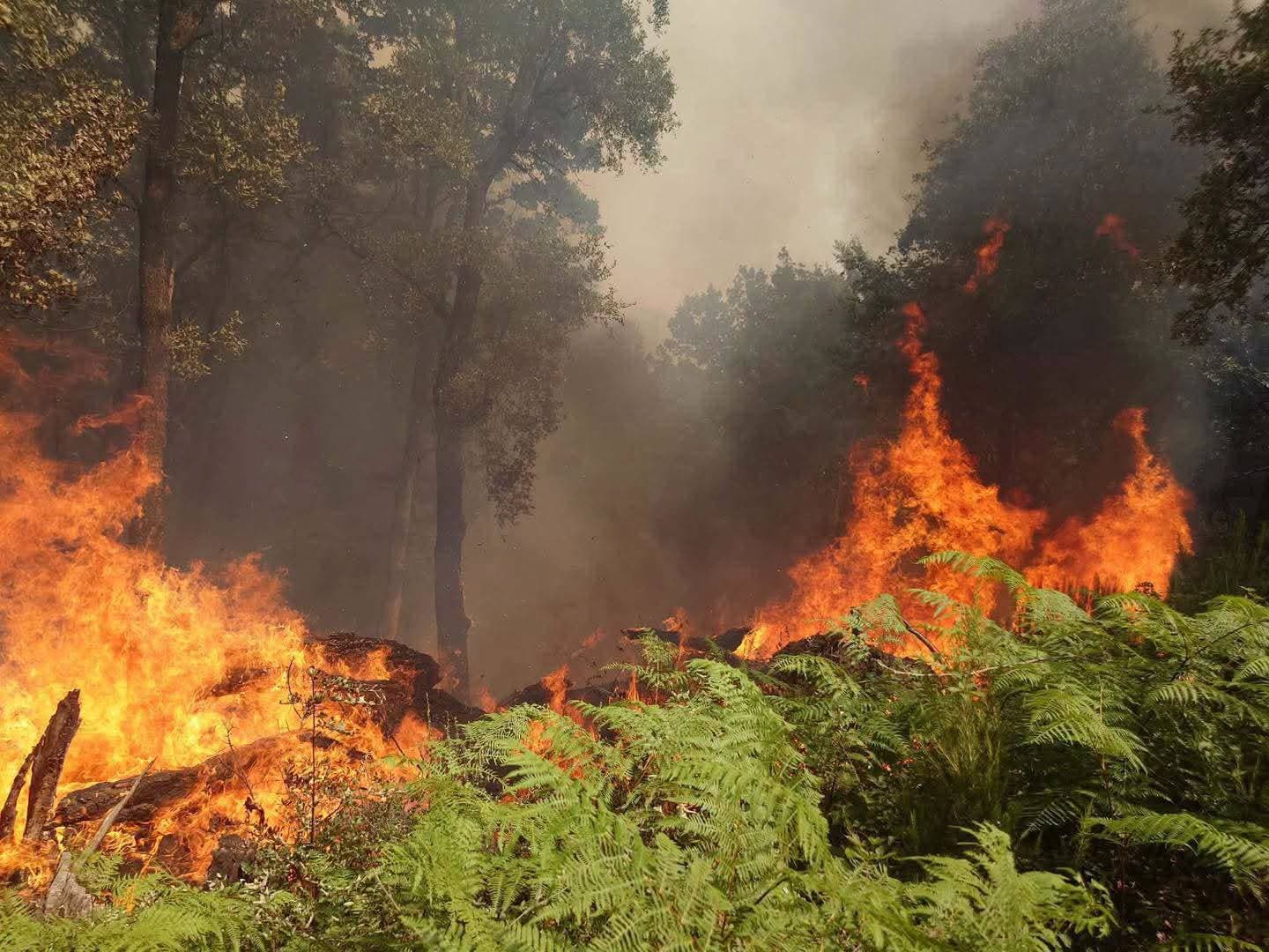 Interior Ministry Condolences and Damage Assessment