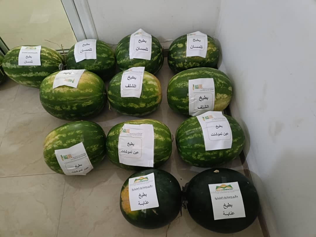 Ministry of Interior issues statement regarding watermelon fruit
