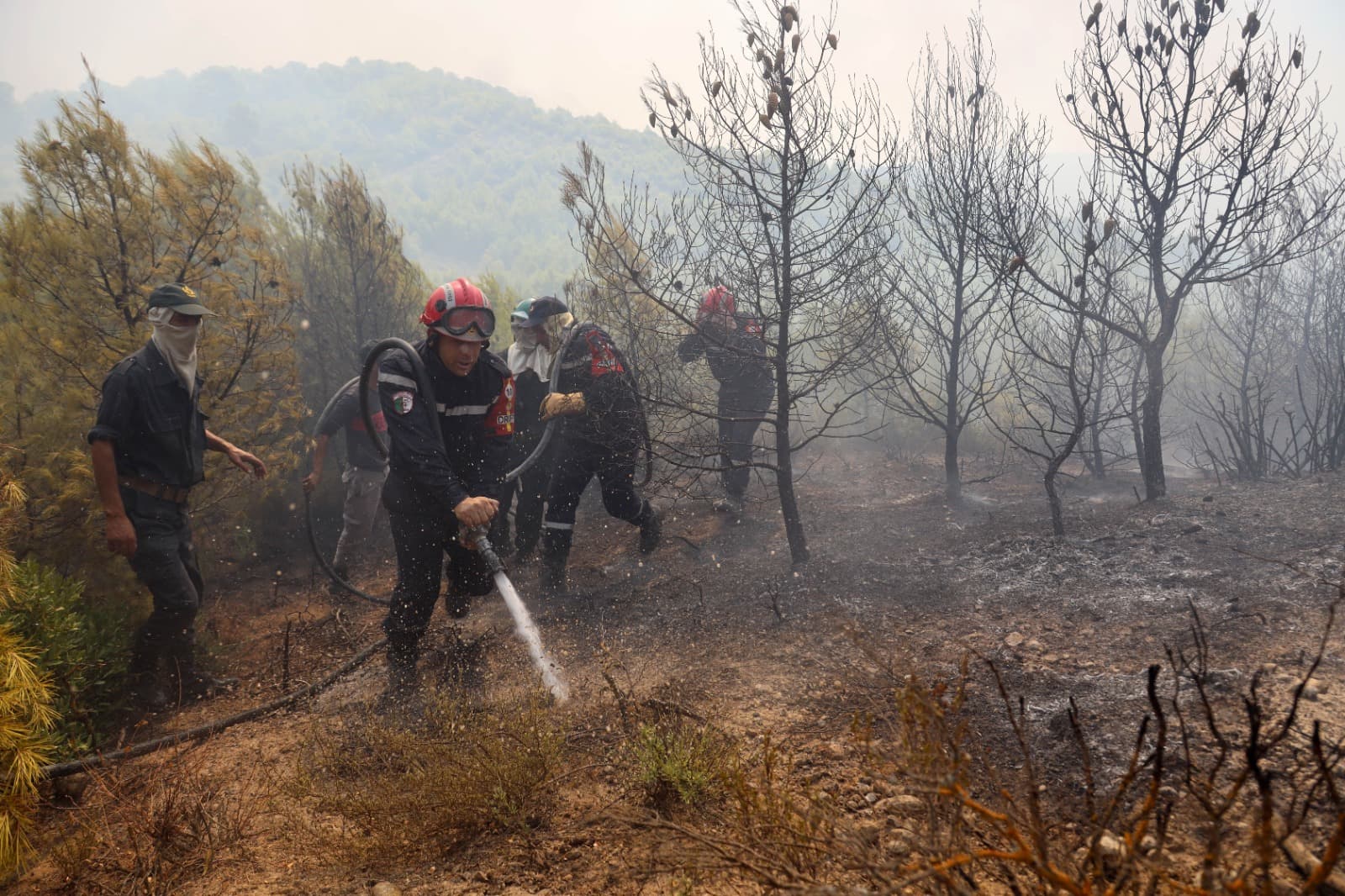 Saba Press reports 195 fires in 24 hours
