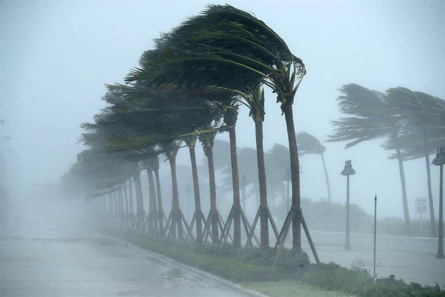 Sandstorms and winds hit certain states