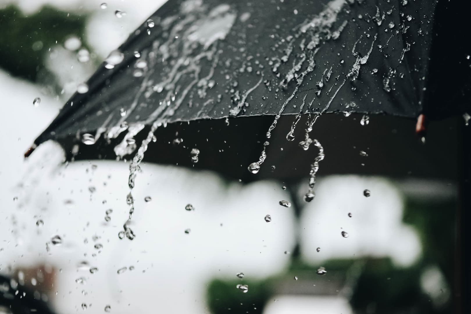 Projected rainfall across states
