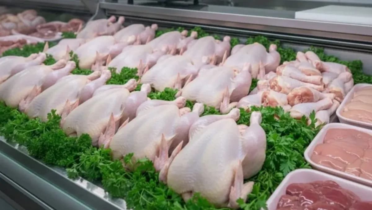 Nationwide Drop in Frozen Chicken Prices