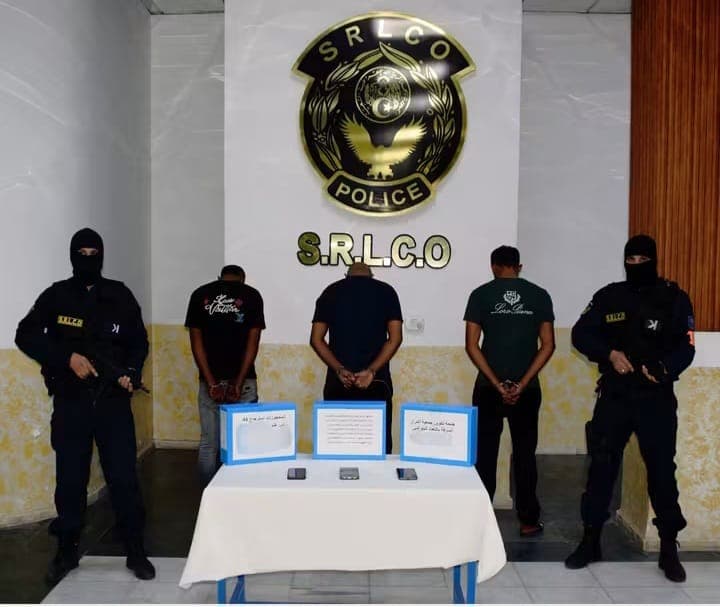 Constantine: Sheep theft gang detained
