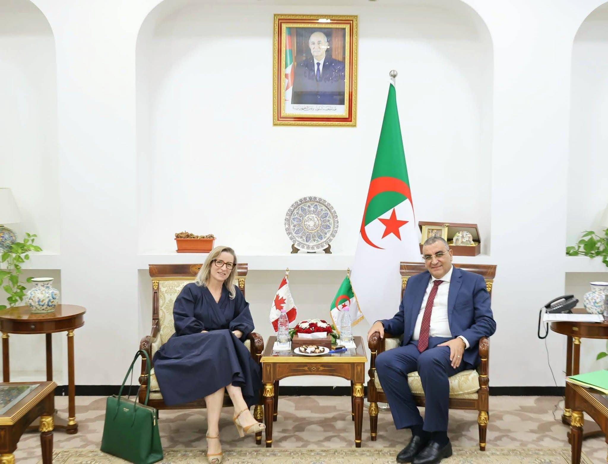 Jalawi Meets Italian and Canadian Ambassadors