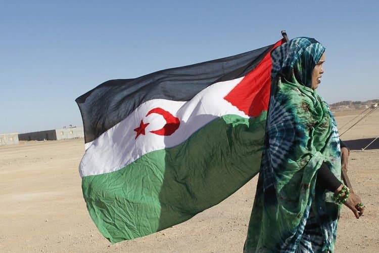 الأمم المتحدة تتبنى قرارا بشأن الصحراء الغربية
