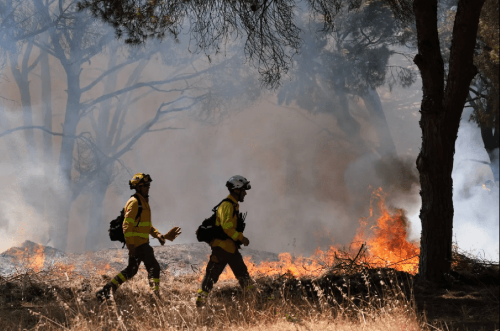 At least 12 Dead in Unprecedented Wildfire in Southern Spain