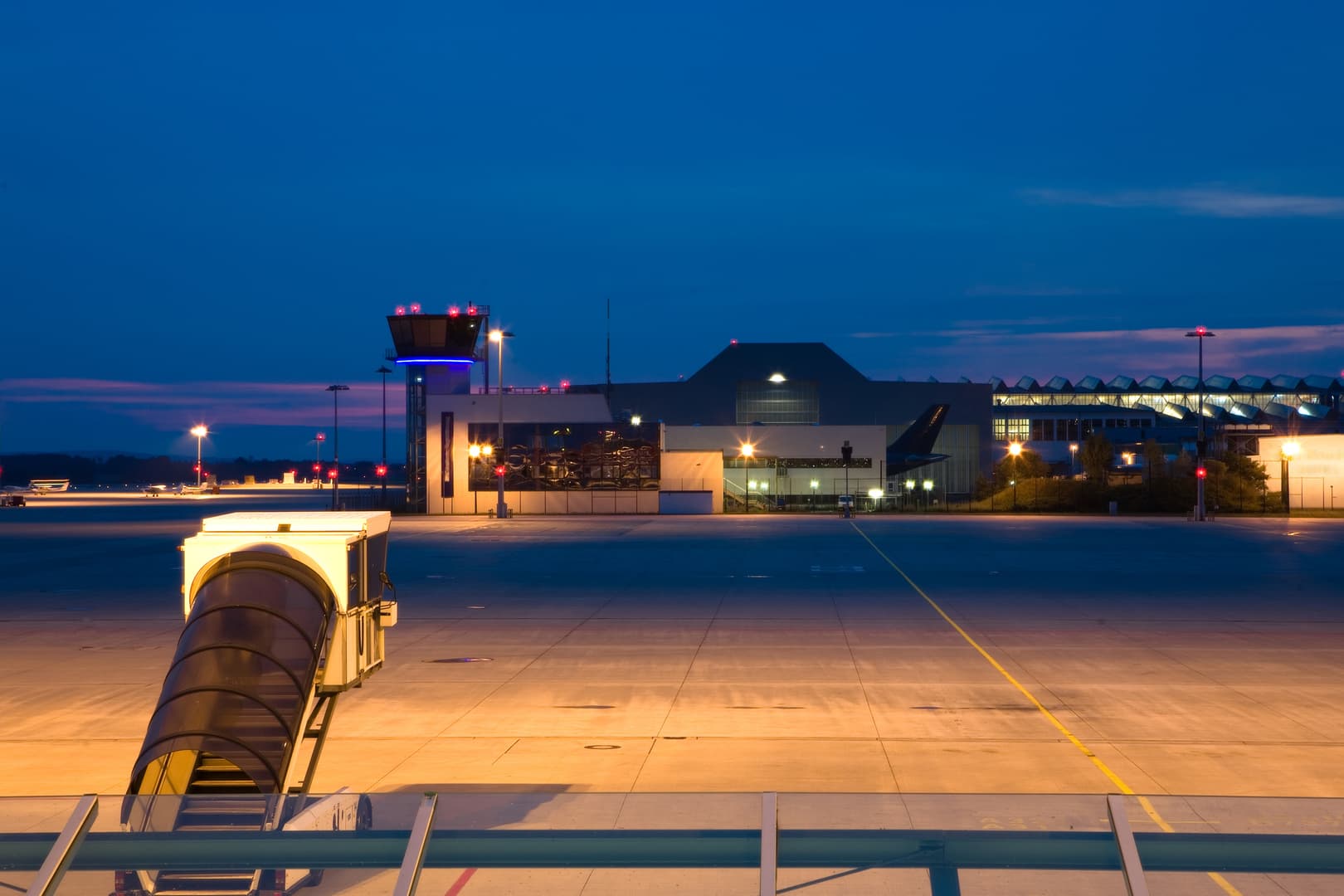 Rabbit Causes Air Traffic Disruption at German Airport