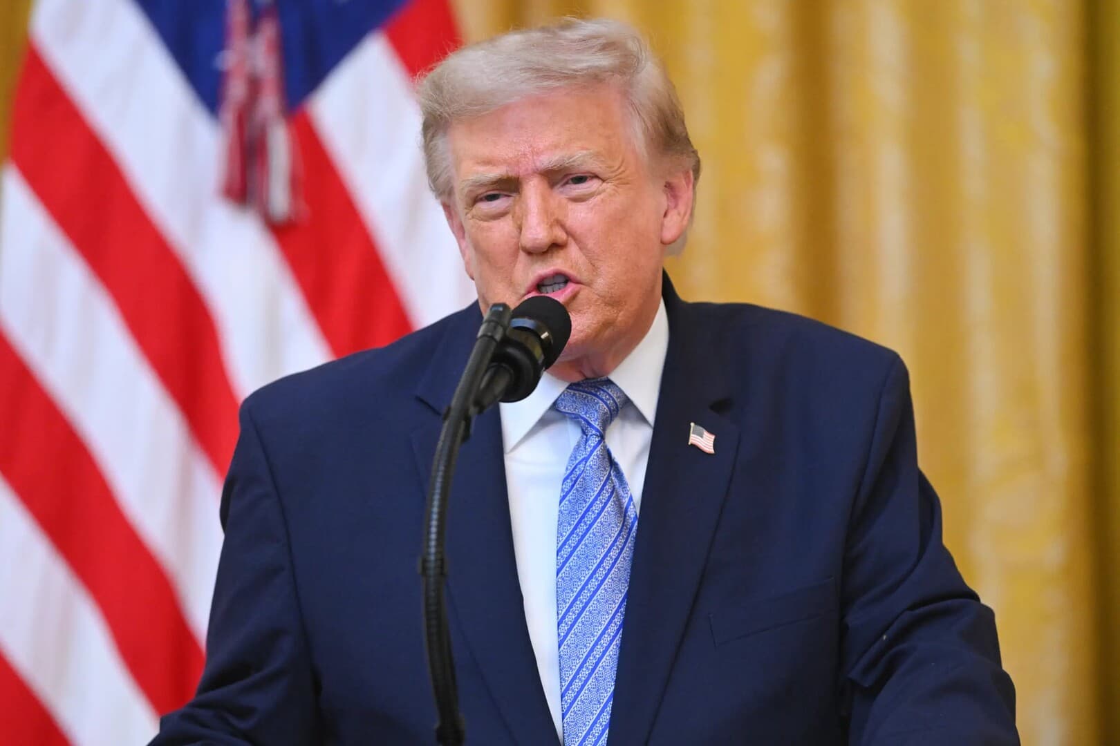 Trump responds to Alaa over sister's October 7 comments
