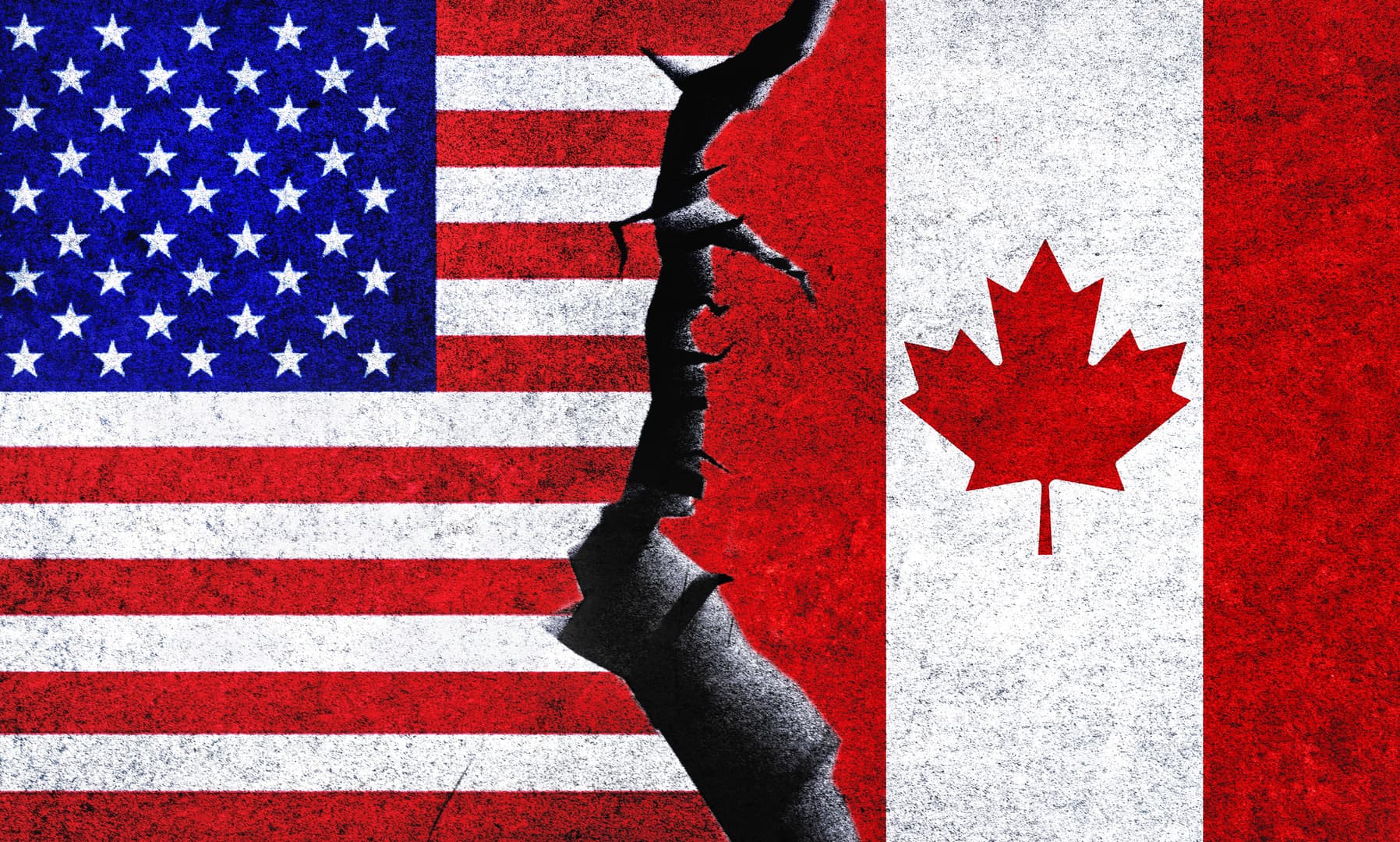 Canada reviews Black Swan threat from US
