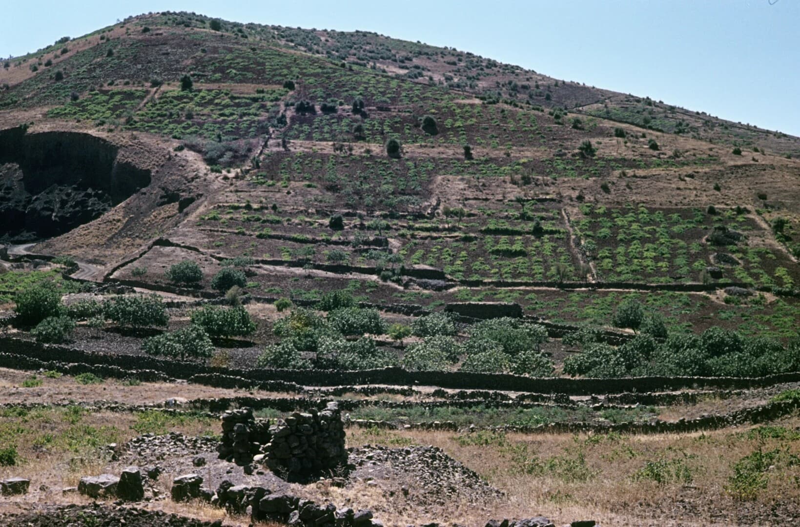 Israeli Military Action at Mount Arab