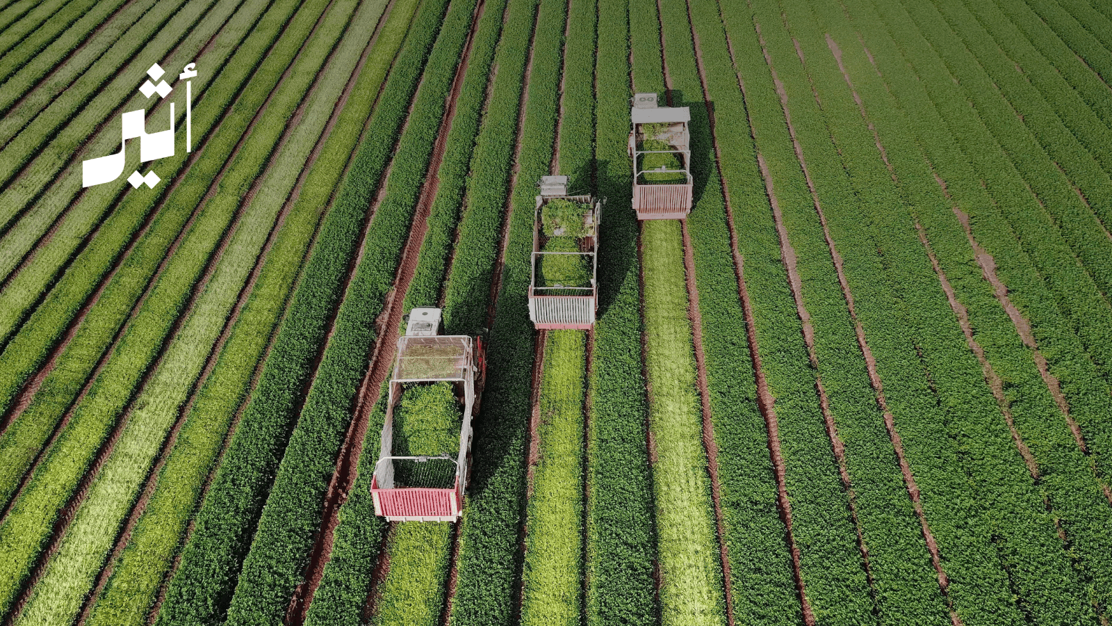 Agricultural Projects Boost Food Security