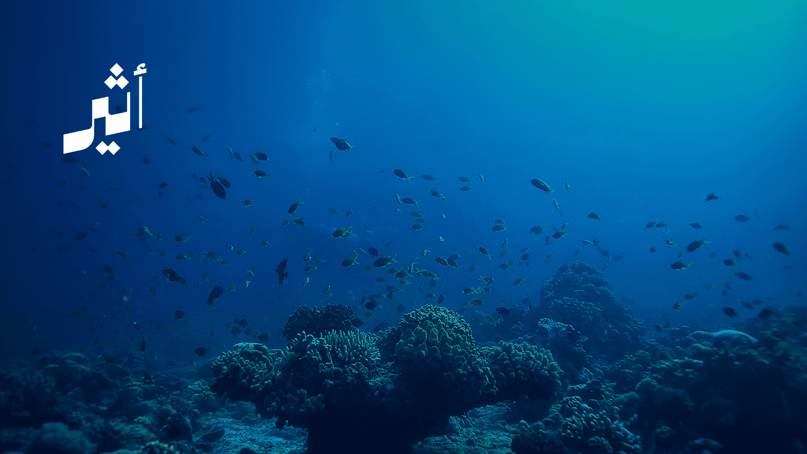 Seabed Minerals in Oman Oceans