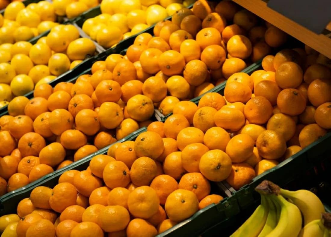 Egyptian agricultural exports surpass 5.8 million tons in 2026